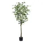 M&ouml;belix Kunstpflanze Gingkobaum H: 150 cm