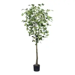 Kunstpflanze Gingkobaum H: 150 cm