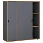 M&ouml;belix Aktenschrank Salia Anthrazit, Honigeiche B:100 cm