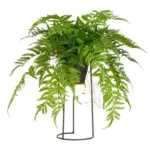 M&ouml;belix Kunstpflanze FARNMIX, H: 60 cm Kunststoff, Gr&uuml;n/Schwarz,