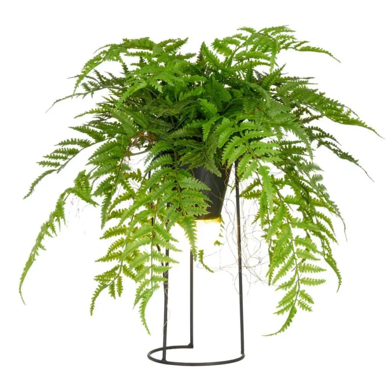Kunstpflanze FARNMIX, H: 60 cm Kunststoff, Gr&uuml;n/Schwarz,