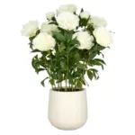 M&ouml;belix KUNSTPFLANZE Creme Gr&uuml;n B: 26 cm