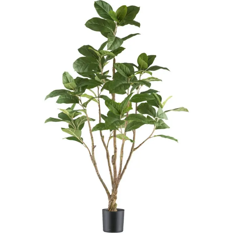 Kunstpflanze chinesische Feige H: 115 cm