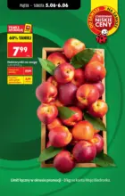 Rabaty i promocje