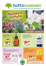 IFS s.r.l. Giugno-Luglio - al 31.07.2026
