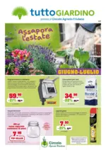 IFS s.r.l. Giugno-Luglio - al 31.07.2026