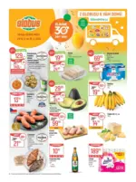 Globus Globus 24 26 L1 &ndash; do 16.06.2026