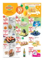 Globus Globus 24 26 L1 &ndash; do 16.06.2026