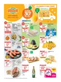 Globus 24 26 L1