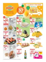 Globus 24 26 L1