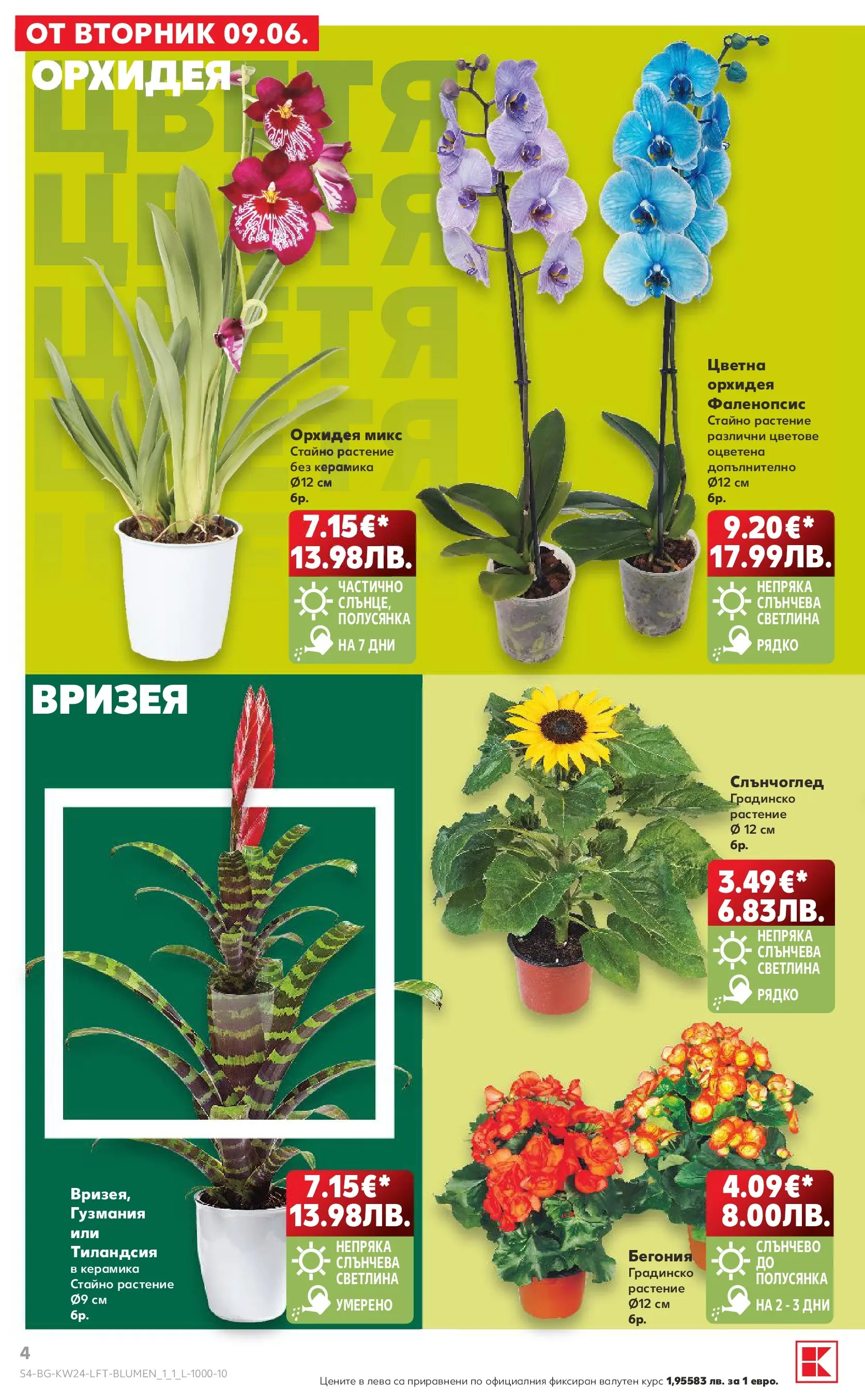 Нова Кауфланд брошура от 07.06.2026 | Страница: 4 | Продукти: Орхидея Нова Кауфланд брошура - Вземи повече, спести повече с Kaufland предложения с валидност до 14.06.2026 от 07.06.2026 | Страница: 4 | Продукти: Орхидея