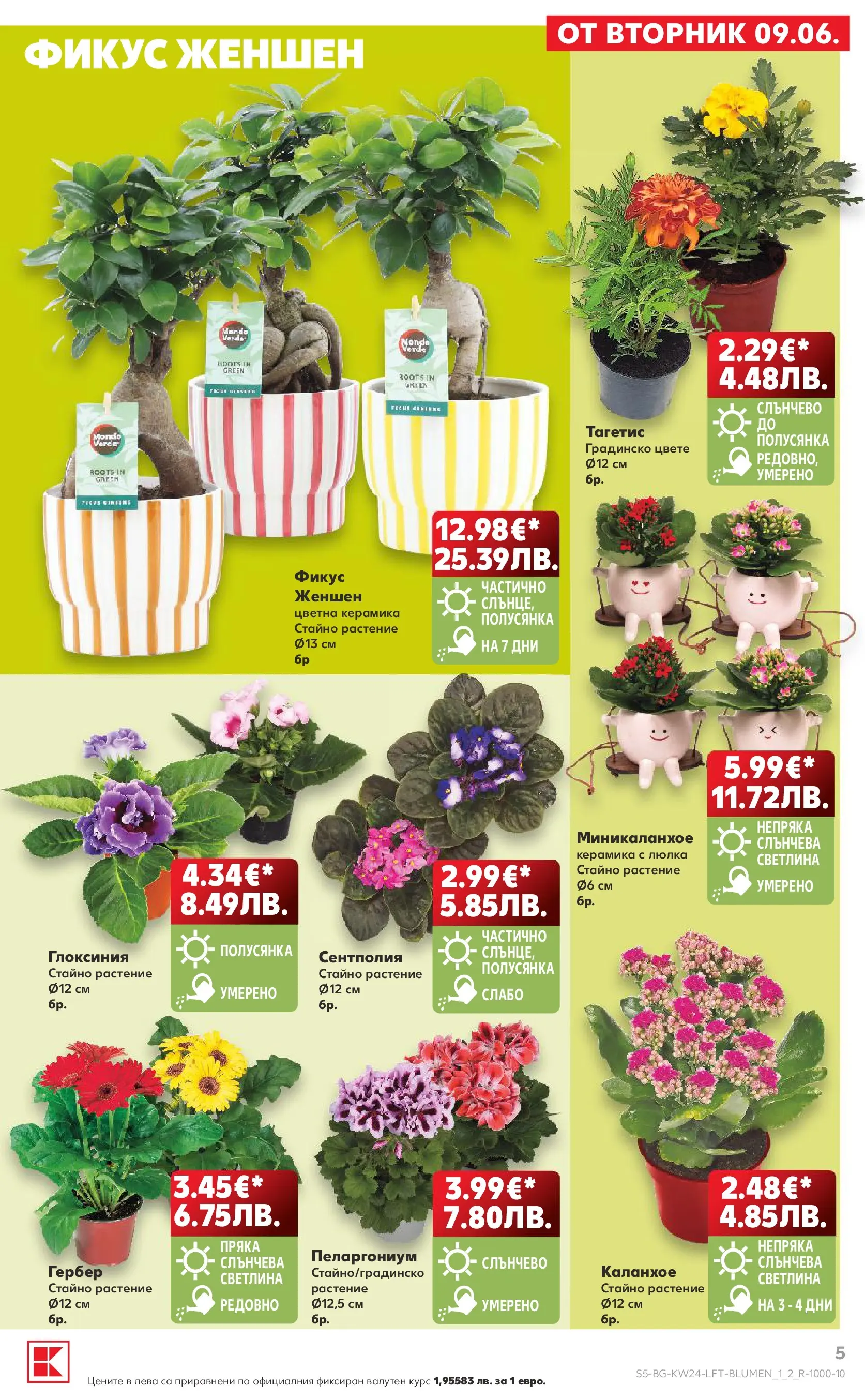Нова Кауфланд брошура от 07.06.2026 | Страница: 5 | Продукти: Люлка Нова Кауфланд брошура - Вземи повече, спести повече с Kaufland предложения с валидност до 14.06.2026 от 07.06.2026 | Страница: 5 | Продукти: Люлка