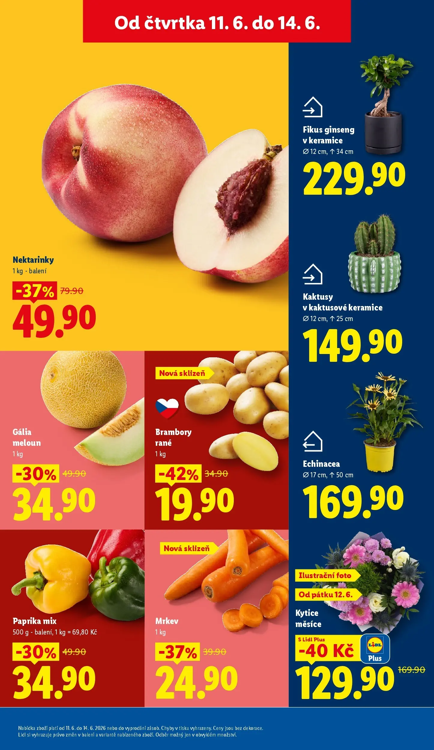 Lidl leták od 10.06.2026 - Nový akční leták | Strana: 13 | Produkty: Meloun, Mrkev, Nektarinky, Brambory