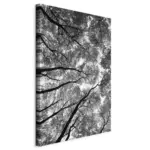 M&ouml;belix Leinwandbild High Trees Wei&szlig; Schwarz B: 40 cm