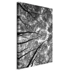 Leinwandbild High Trees Wei&szlig; Schwarz B: 40 cm