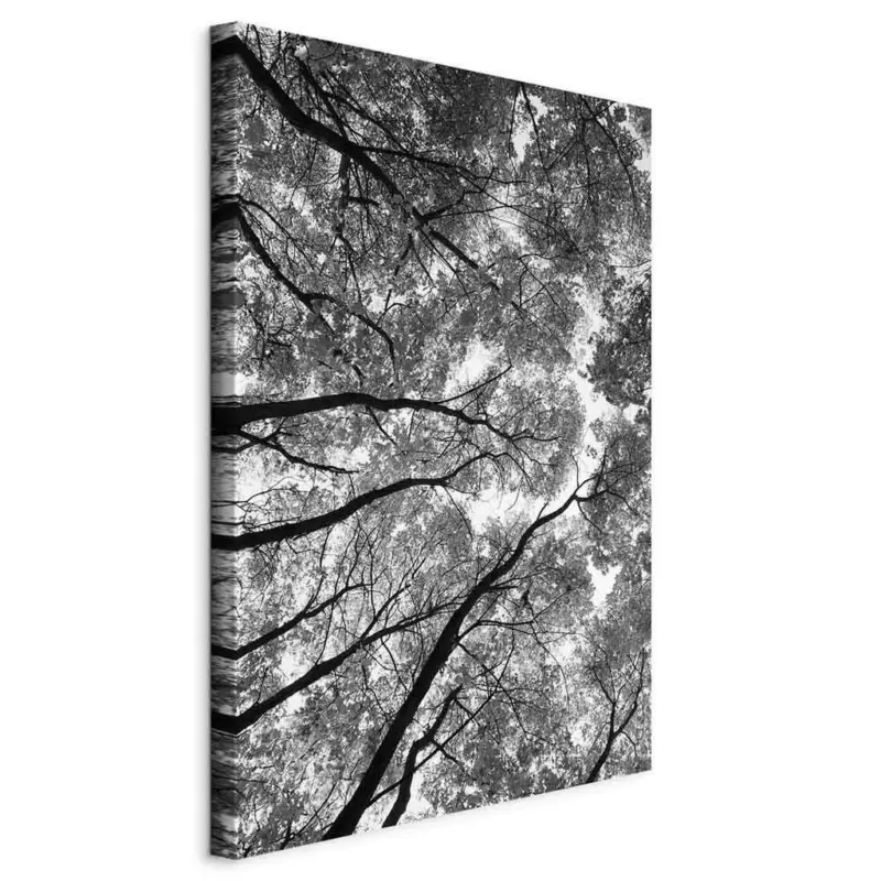 Leinwandbild High Trees Wei&szlig; Schwarz B: 40 cm