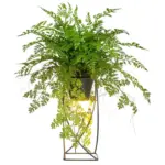 M&ouml;belix Kunstpflanze FARNMIX, H: 60 cm Kunststoff, Gr&uuml;n/Schwarz,