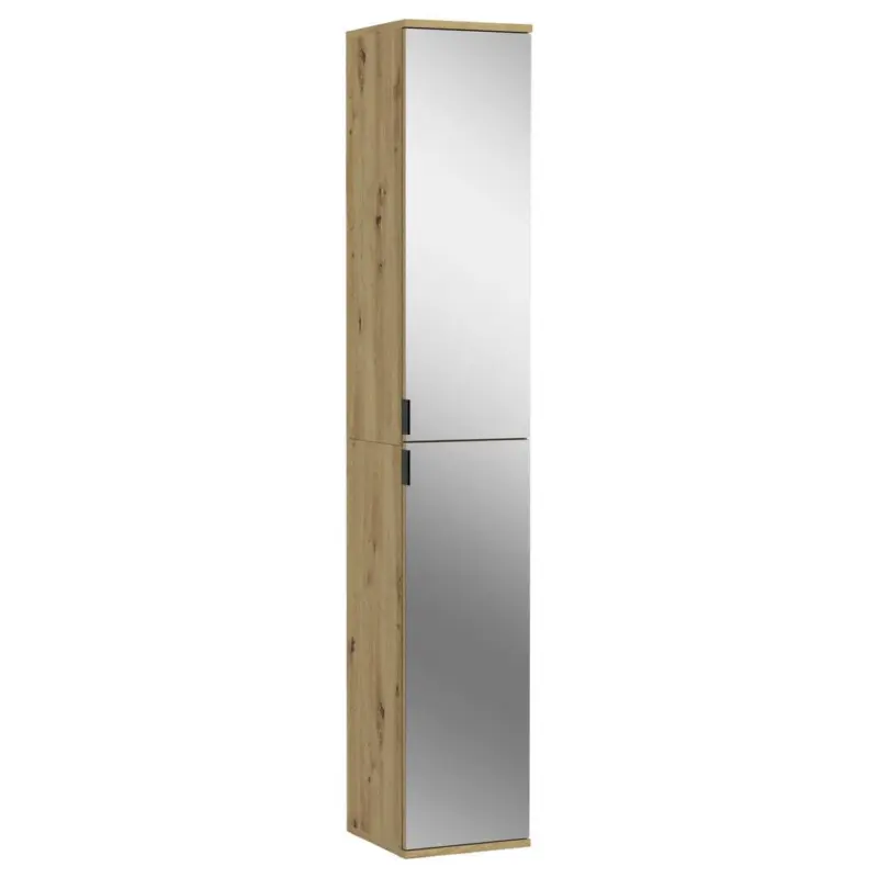Spiegelschrank Projekt X 2-T&uuml;rig BHT: 30x193x34 cm