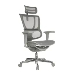 Drehstuhl Ergohuman Slim Ultra Grau B: 71 cm