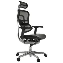 Drehstuhl Ergohuman Gen2 Schwarz B: 78 cm