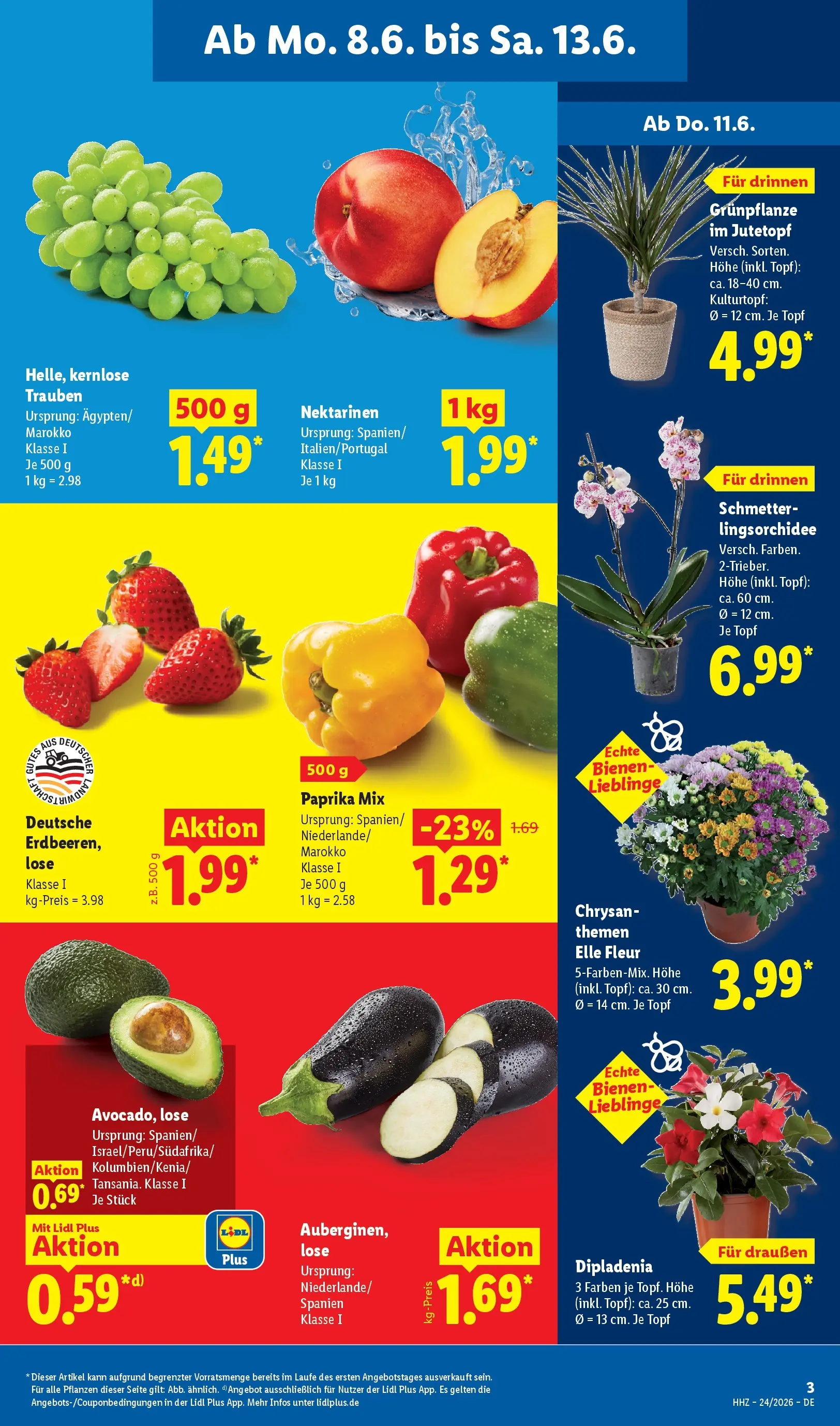 Lidl Prospekt Hof-innenstadt (ab 08.06.2026) ยป Angebote online | Seite: 7 Lidl Prospekt Hof-innenstadt (ab 08.06.2026) zum Blรคttern ยป Angebote | Seite: 7