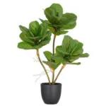 M&ouml;belix Kunstpflanze FICUS LYRATA Kunststoff, Gr&uuml;n, H: 65 cm