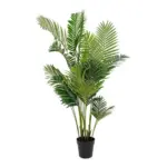 M&ouml;belix KUNSTPFLANZE Areca Gr&uuml;n Schwarz H: 175 cm