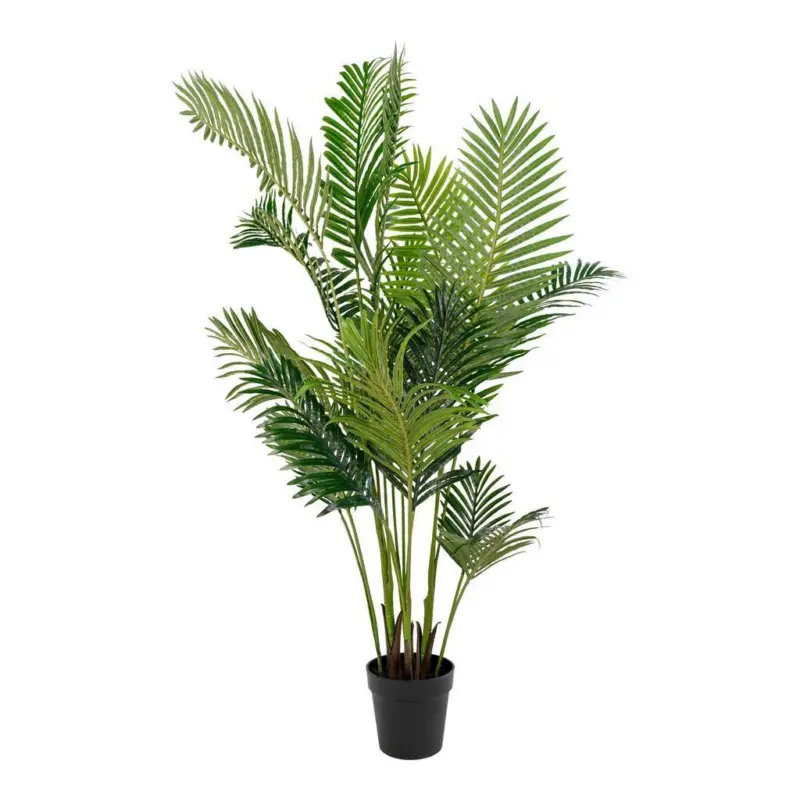 KUNSTPFLANZE Areca Gr&uuml;n Schwarz H: 175 cm