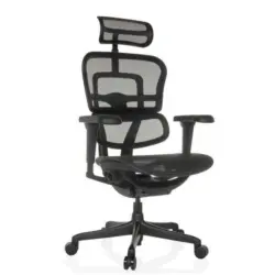 Drehstuhl Ergohuman Signature Schwarz B: 69 cm