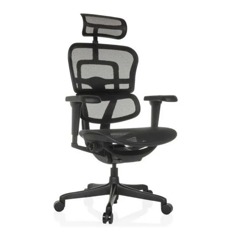 Drehstuhl Ergohuman Signature Schwarz B: 69 cm