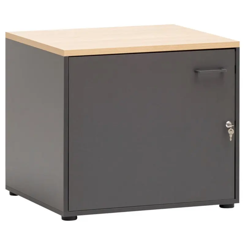 MEHRZWECKSCHRANK Anthrazit/Eichefarben B:67,1cm