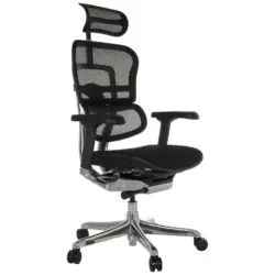 Drehstuhl Ergohuman Gen2 Schwarz B: 78 cm