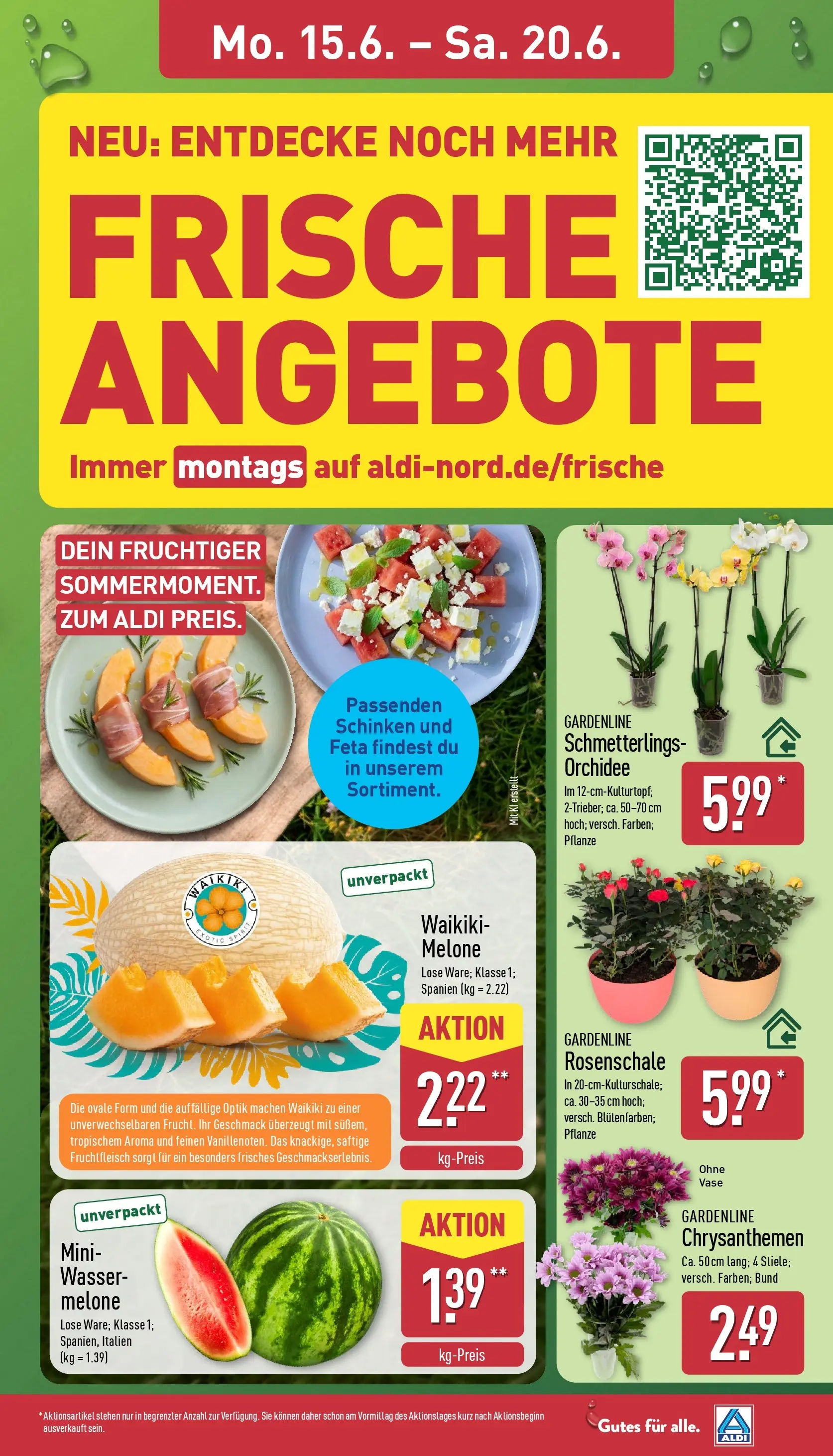 Aldi - ALDI Nord: Wochenangebote (ab 14.06.2026) » Angebote Online | Seite: 7 | Produkte: Feta, Vase, Wasser, Schinken