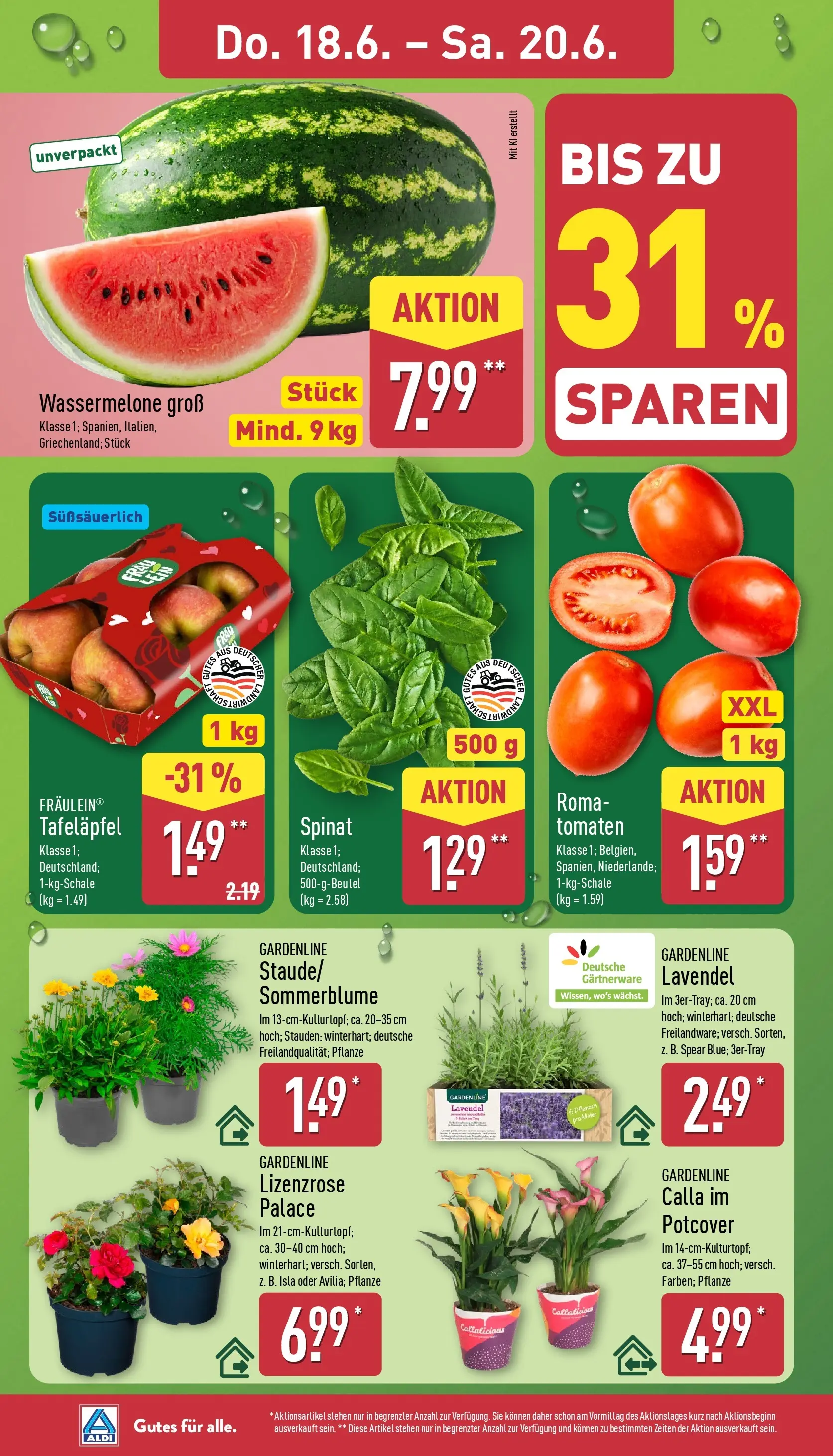 Aldi - ALDI Nord: Wochenangebote (ab 14.06.2026) » Angebote Online | Seite: 30 | Produkte: Tomaten, Wassermelone, Lavendel