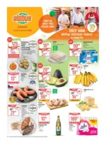 Globus Globus 24 26 L1 &ndash; do 16.06.2026