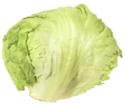 Eisbergsalat