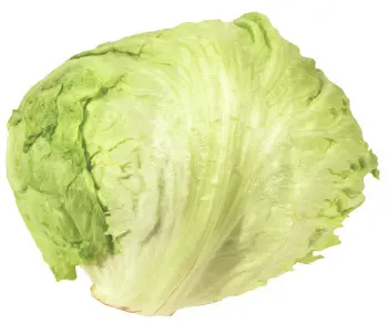 Eisbergsalat