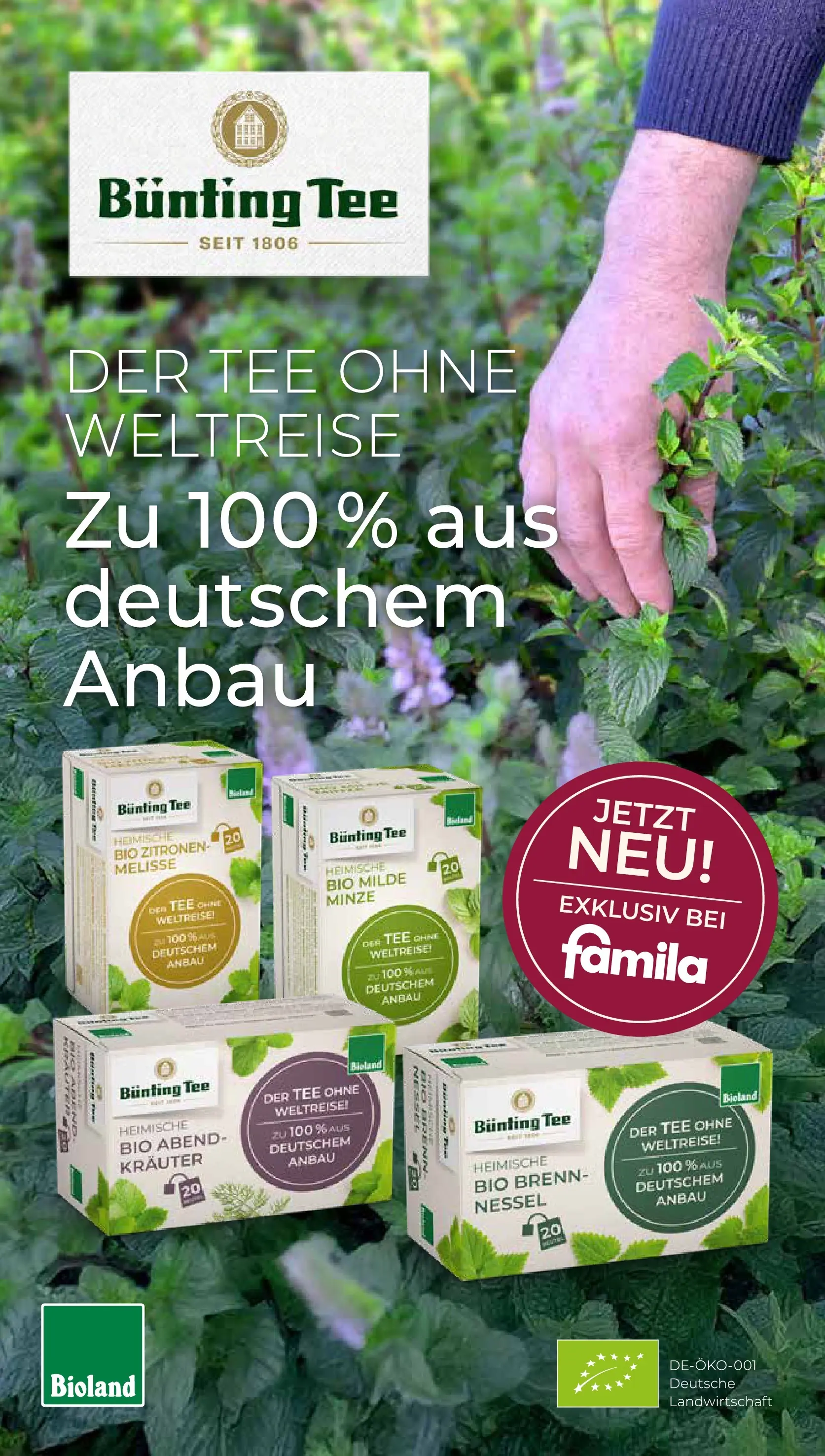 Famila Nordwest Wochenangebote (ab 15.06.2026) zum Blättern | Seite: 18 | Produkte: Tee, Zitronen