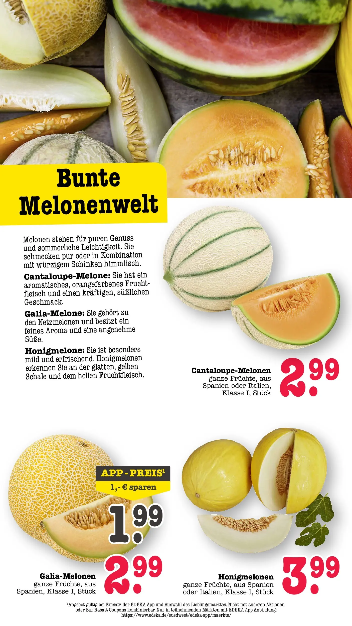 Marktkauf Prospekt Wörth Am Rhein (ab 08.06.2026) » Angebote ab Montag | Seite: 22 | Produkte: Honigmelone, Schinken, Fleisch Marktkauf Prospekt Wörth Am Rhein (ab 08.06.2026) » Angebote online | Seite: 22 | Produkte: Honigmelone, Schinken, Fleisch