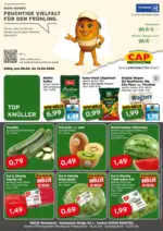 CAP-Markt Attraktive Sonderangebote f&uuml;r alle - bis 13.06.2026
