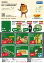 CAP-Markt Sonderangebote f&uuml;r Sie - bis 13.06.2026