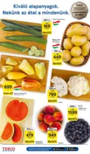 Tesco &uacute;js&aacute;g &eacute;rv&eacute;nyess&eacute;ge 2026.06.17-ig