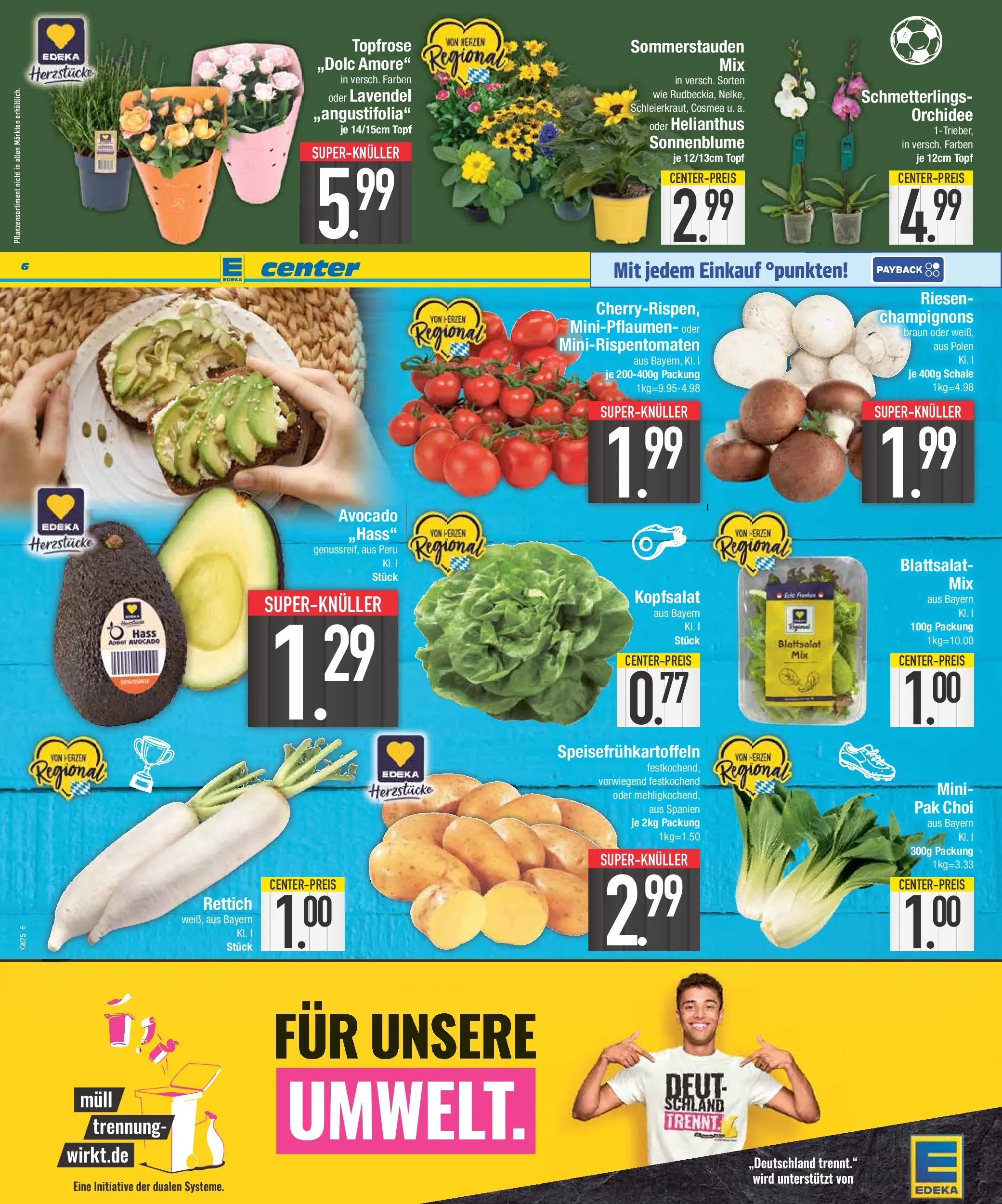 E center Prospekt Ingolstadt (ab 14.06.2026) zum Blättern | Seite: 6 | Produkte: Orchidee, Avocado, Champignons, Lavendel