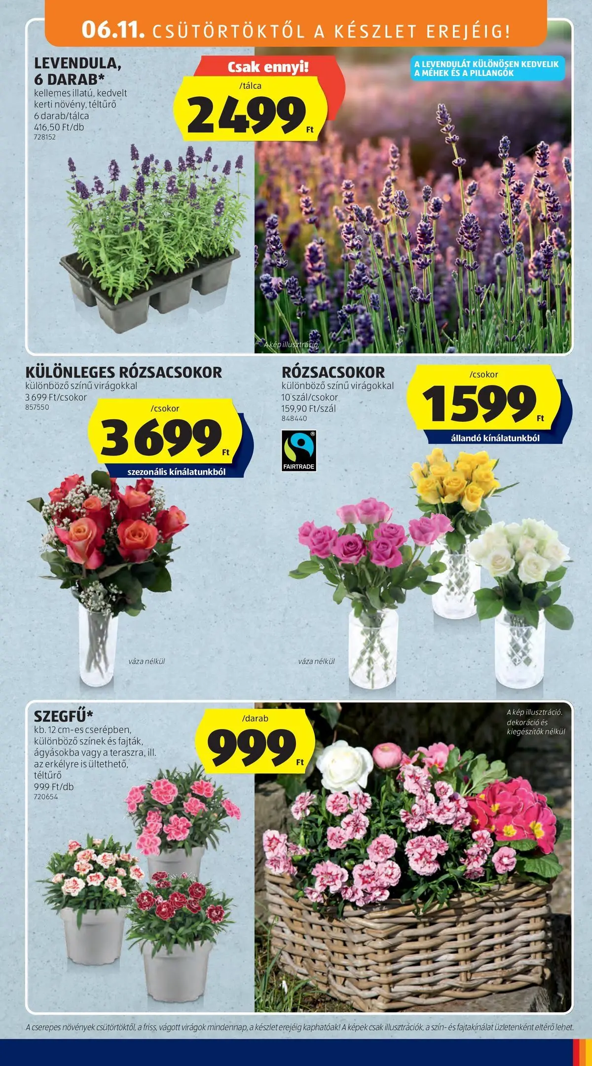 Aldi aktuális akciós újság - 2026.06.11.-tól⏳Szórólap | Oldal: 35 | Termékek: Virágok, Váza, Dekoráció Aldi aktuális akciós újság - 2026.06.11. -tól/töl > akció, lapozható szórólap 🛍️ | Oldal: 35 | Termékek: Virágok, Váza, Dekoráció