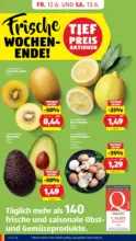 HOFER HOFER: Flugblatt - ab 12.06.2026