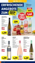 HOFER HOFER: Flugblatt - ab 12.06.2026