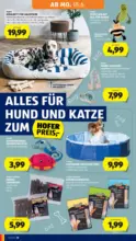 HOFER HOFER: Flugblatt - ab 12.06.2026