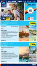 HOFER HOFER: Flugblatt - ab 12.06.2026