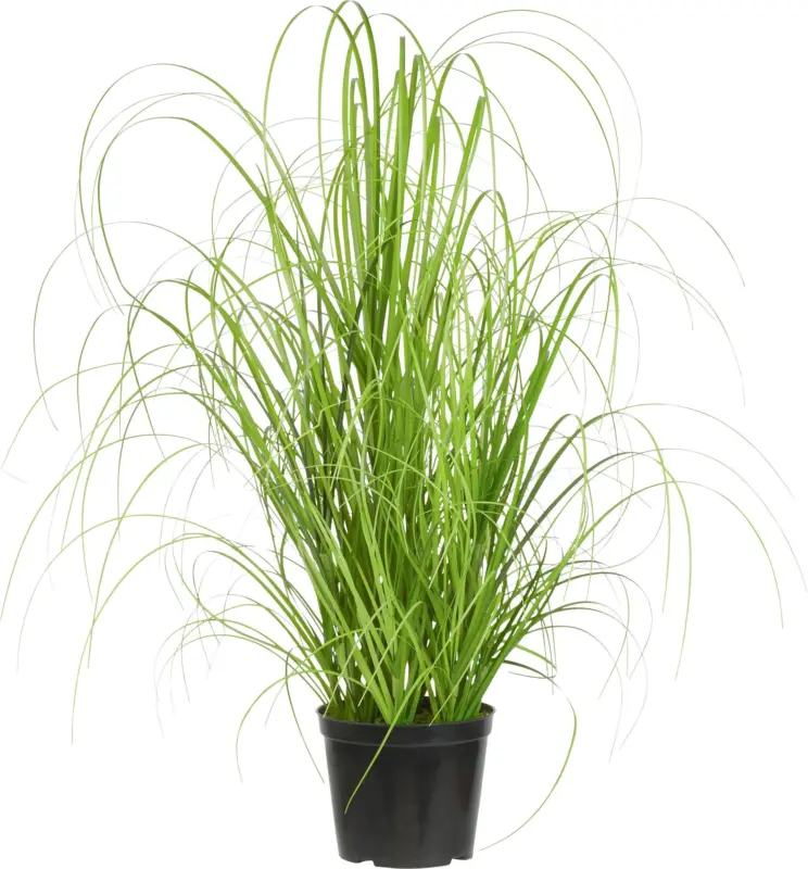 Grasb&uuml;ndel Patrick aus Polyester ca. 40cm