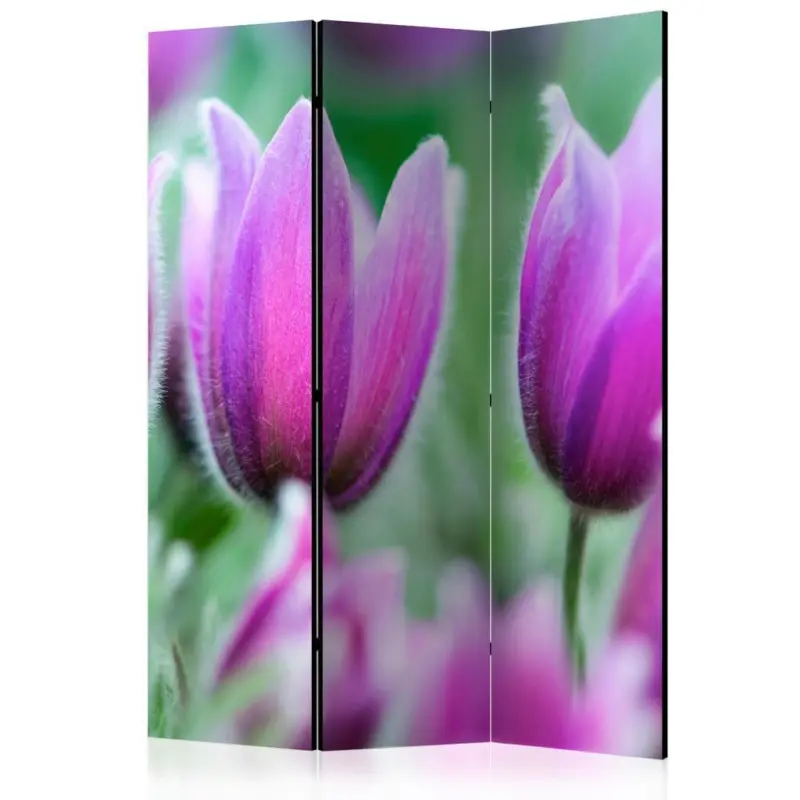 PARAVENT Gr&uuml;n Violett B: 135 cm